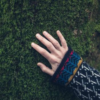 ECOSYS: Driving efficiency through sustainability hand touching a tree