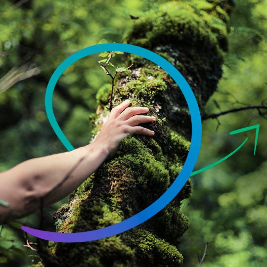 hand touching tree