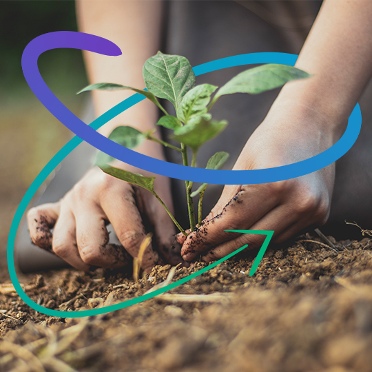 Working together for the planet