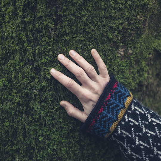 hand touching a tree