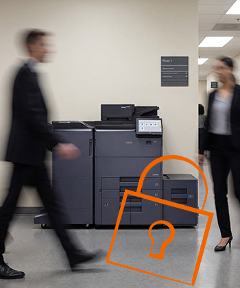 hands holding a plant in soil