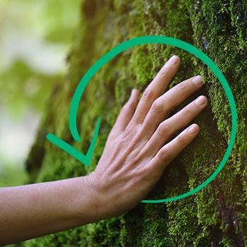 Striving for sustainability sustainability