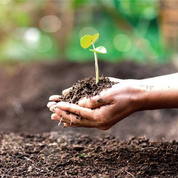 Why sustainable business practices matter